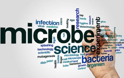 Microbe Testing, What Disinfecting Really Means.