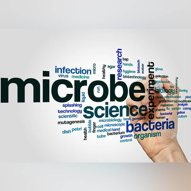 Microbe Testing, What Disinfecting Really Means.